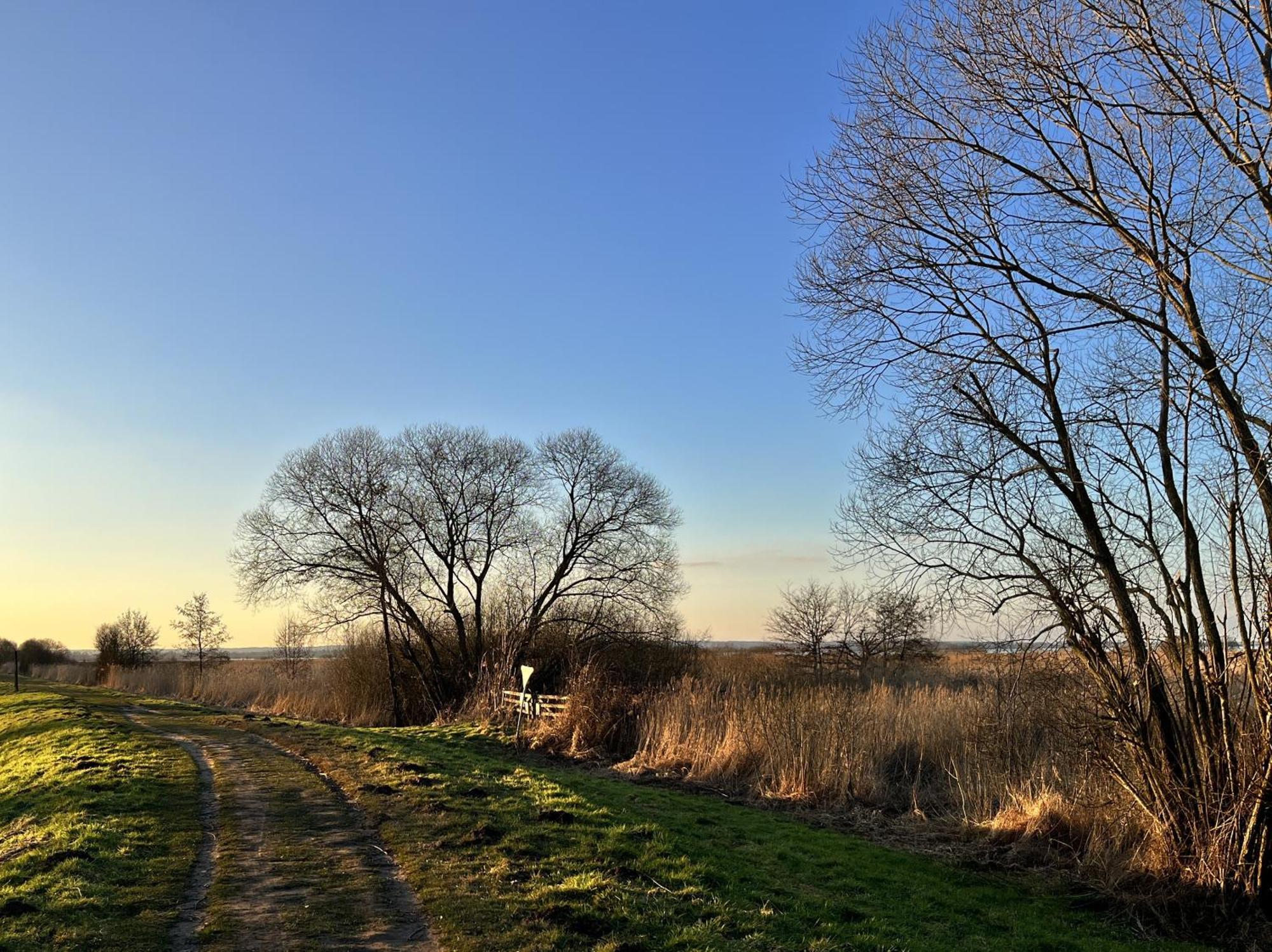 Schoenes Penthouse Duemmer See - Lembruch Hüde Exteriör bild